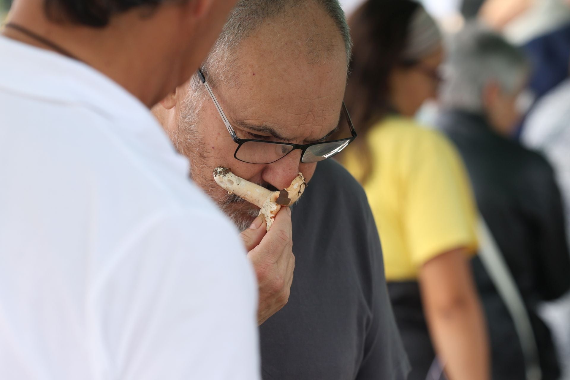 La micología reina en el barrio de Loiola