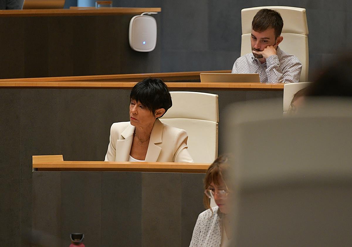 La portavoz de EH Bildu en las Juntas, Maddalen Iriarte.