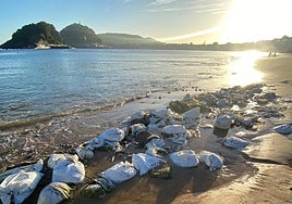 Los sacos de arena que protegen el pecio encontrado el año pasado, a la vista este lunes a la mañana.