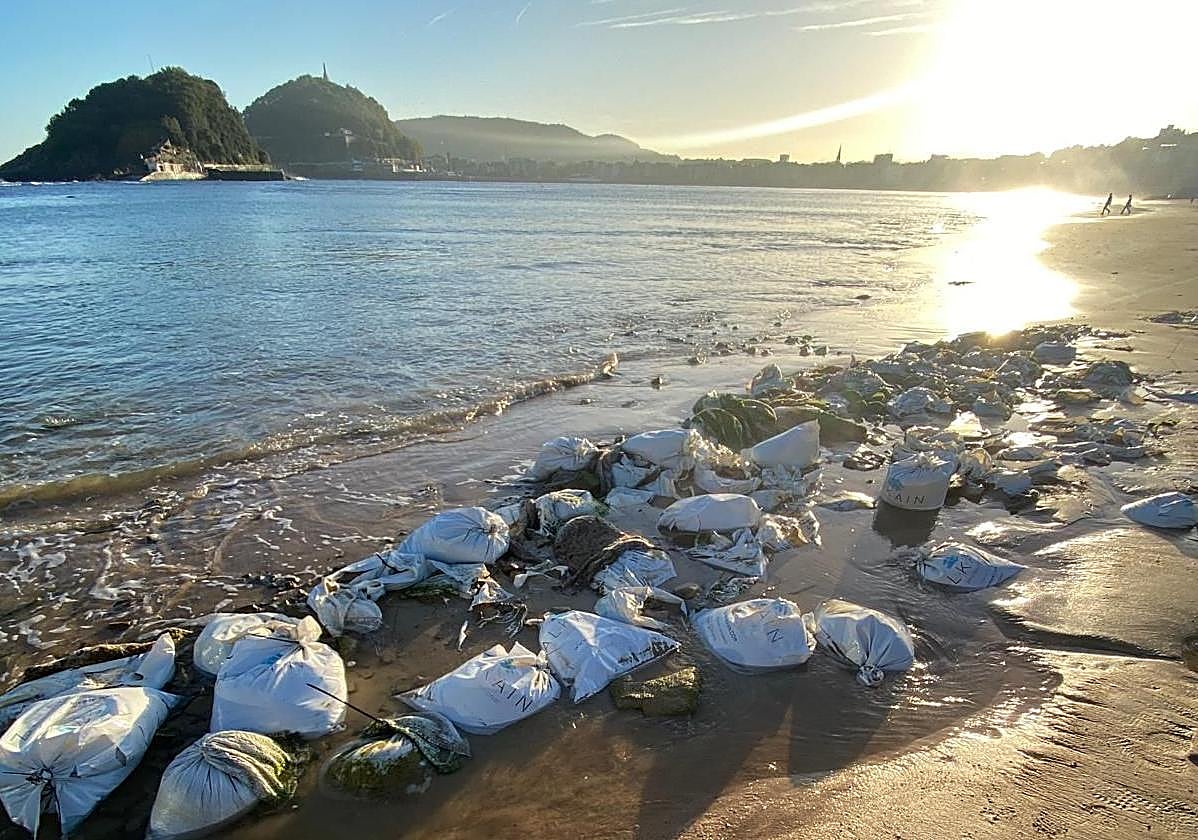 Los sacos de arena que protegen el pecio encontrado el año pasado, a la vista este lunes a la mañana.