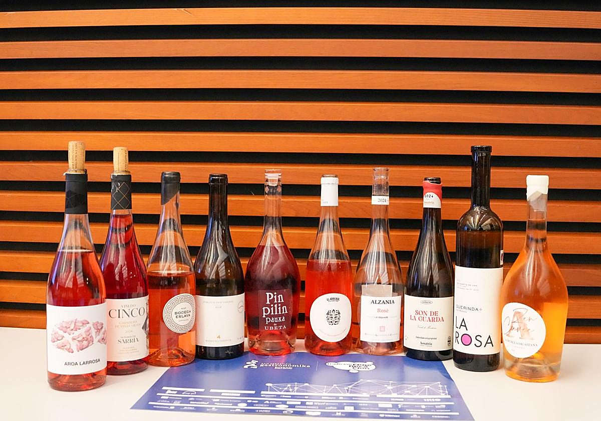 Los diez rosados con los que la D. O. Navarra reivindicó que estos vinos tienen mil posibilidades.