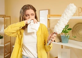 «En otoño se dan las condiciones ideales para que los ácaros del polvo proliferen y empeoren las alergias»