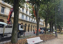 Se llevó a cabo ayer la tala de dos tilos en la plaza Gipuzkoa, en el marco del proyecto municipal de control del arbolado urbano. Esta intervención forma parte de las inspecciones periódicas que se realizan en la ciudad para prevenir riesgos en espacios especialmente sensibles como parques, colegios, paradas de autobús y zonas de alta afluencia peatonal.