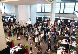 Más de 900 personas se han inscrito a las jornadas de la Feria de Empleo que organiza la Cámara de Gipuzkoa.