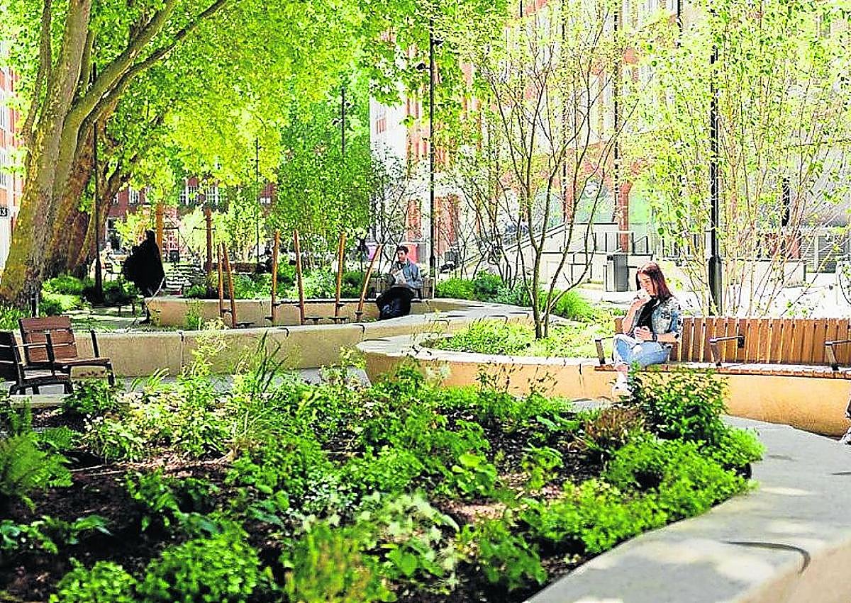 Imagen secundaria 1 - La plaza Zaragoza será un refugio natural con arbolado, vegetación y un estanque de agua