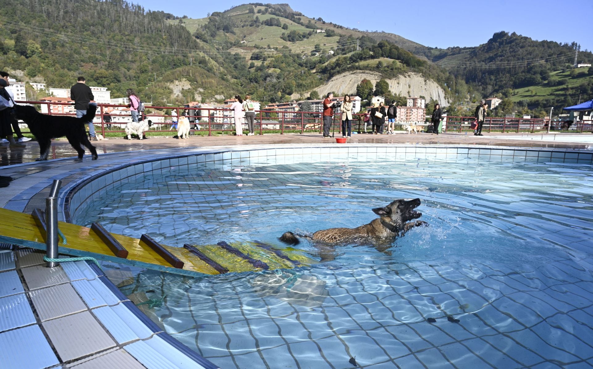 Los perros se adueñan de las piscinas de Eibar