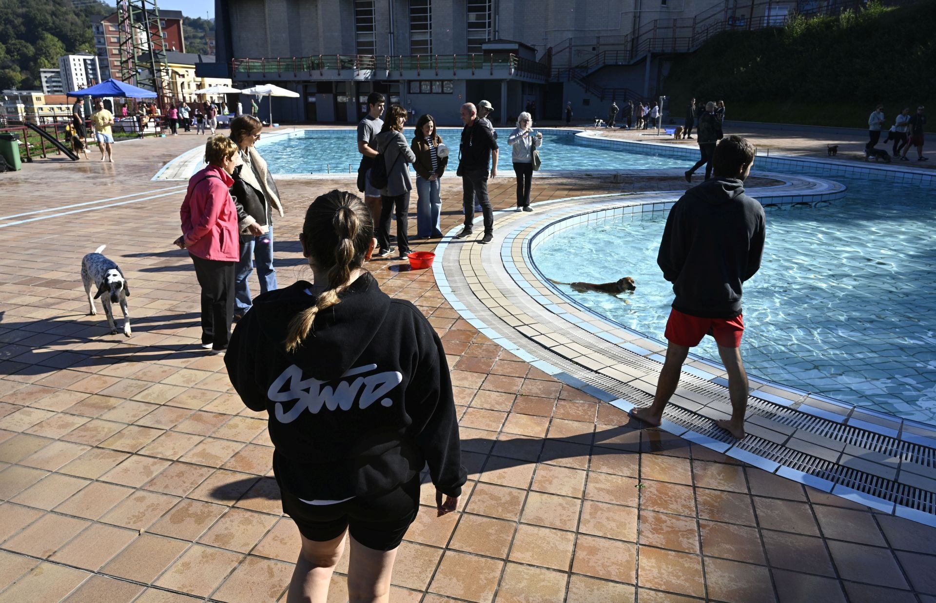 Los perros se adueñan de las piscinas de Eibar
