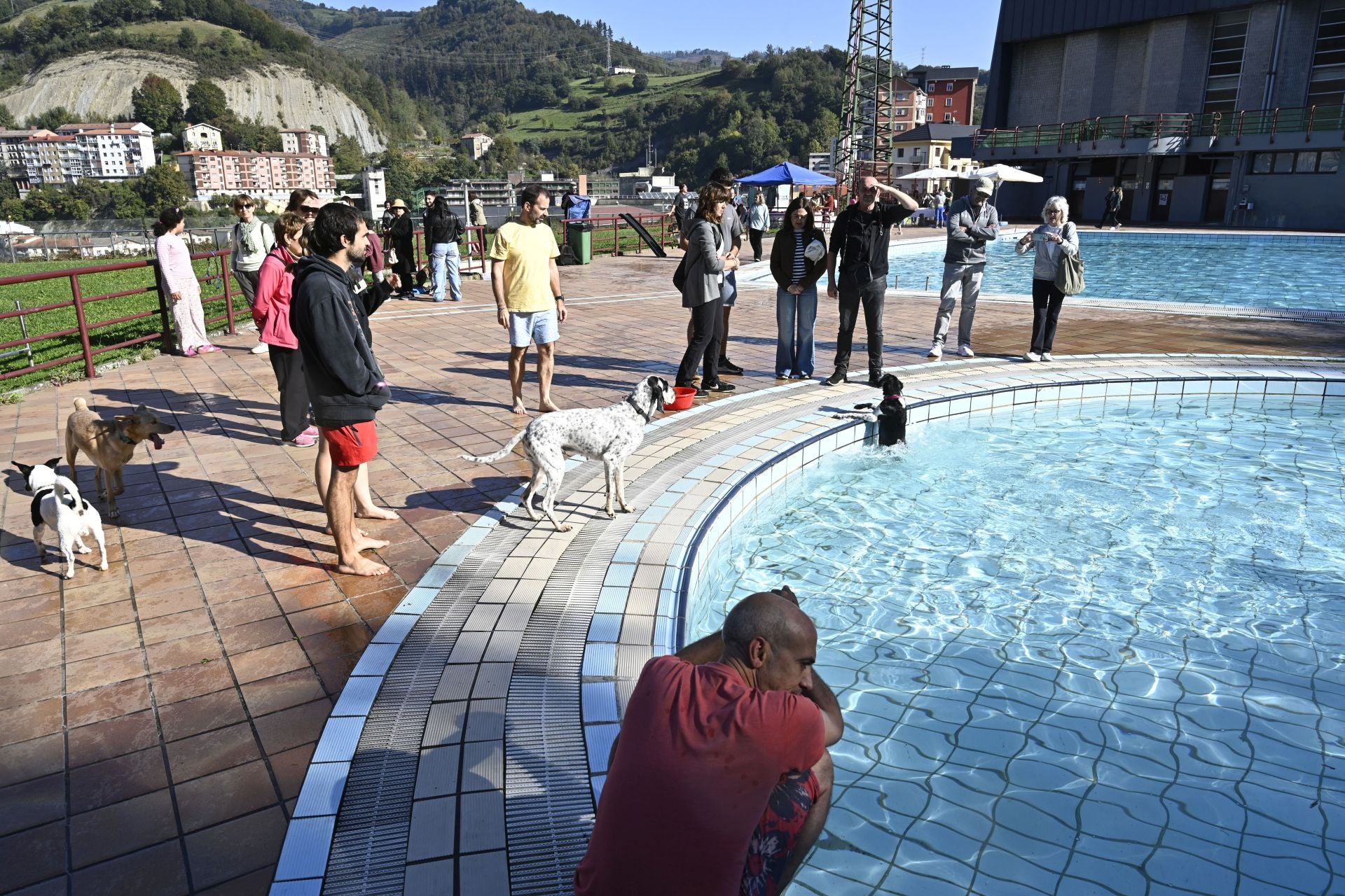 Los perros se adueñan de las piscinas de Eibar