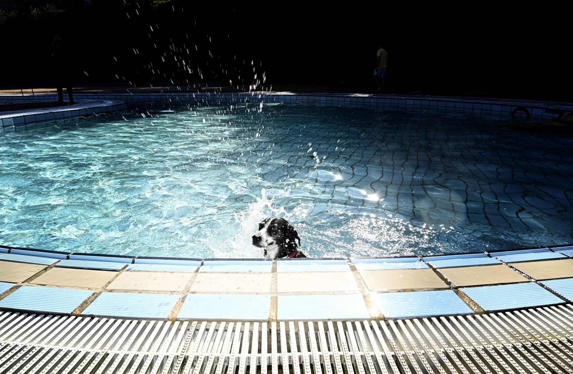 Los perros se adueñan de las piscinas de Eibar