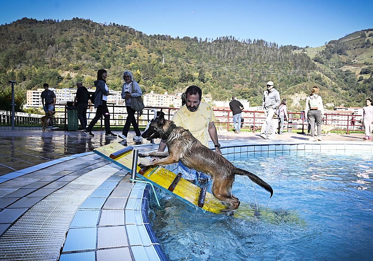 ¡Perro al agua! Las piscinas de Eibar se convierten en un aquapark canino