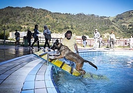 ¡Perro al agua! Las piscinas de Eibar se convierten en un aquapark canino