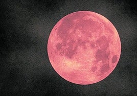 Hurrengo eklipseen erronkak aztetuko ditu Aranzadiren 34. Astronomia Jardunaldiak