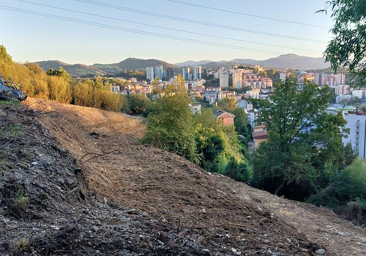 La limpieza de la primera fase del parque periurbano de Azkuene ya se ha llevado a cabo para construir huertas municipales.