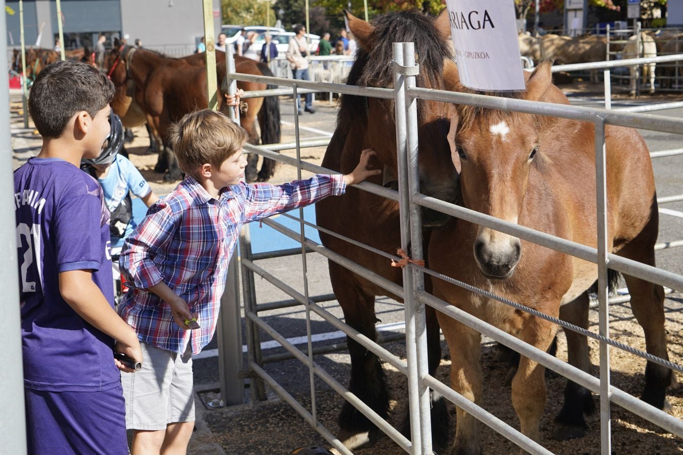 Tradición y sabor en Idiazabal