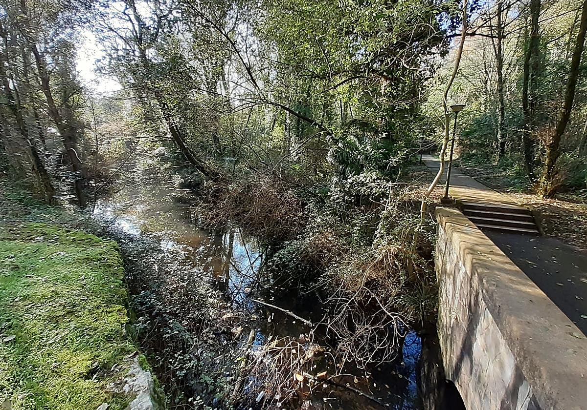 Estado actual de la aliseda y humedal de Ibaeta en el que va a actuar el consistorio.
