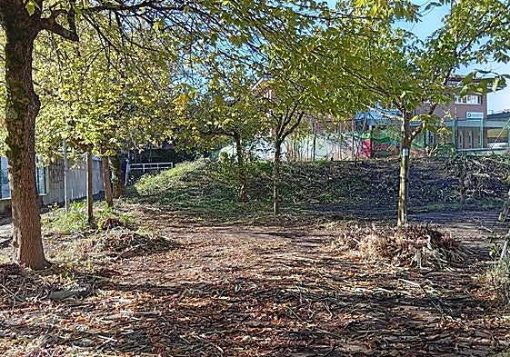 El parque del paseo de Casares que limpiaron los vecinos el sábado 4.
