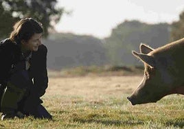 Fotograma del documental 'Wilding, el regreso de la naturaleza' que se emite en Asteklima.