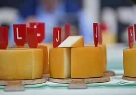 Pastores, técnicos, miembros de la cofradia Idiazabal de Ordizia y representantes municipales en el concurso de 2024.