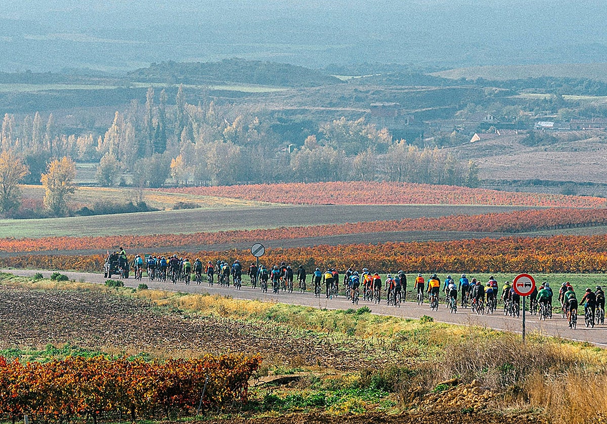 Inscripciones abiertas para la III Marcha Ciclista del Primer Vino de Bodegas Tarón