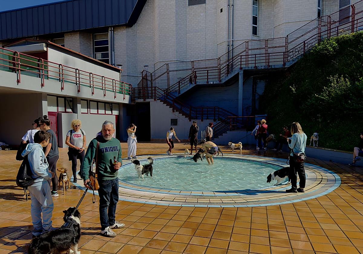 La convocatoria para el baño lúdico de perros en la piscina de Eibar registró una gran participación de propietarios y mascotas.