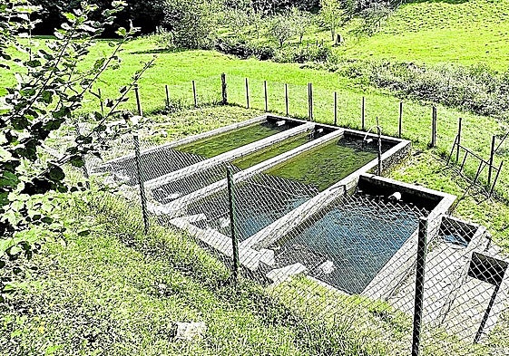 Piscinas con pienso en las que crían las truchas del Etxeberteko Borda que luego van directas a la sartén.