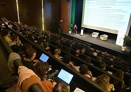 Sala del teatro Soreasu de Azpeitia, durante las conferencias internacionales de ayer.