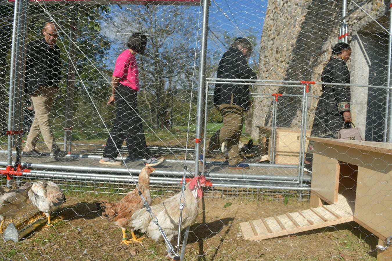 Las gallinas, en el epicentro de Chillida Leku