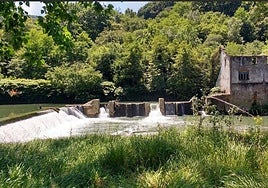 Ecologistas piden la demolición de la presa de Orbeldi para la regeneración piscícola del Oria en Usurbil