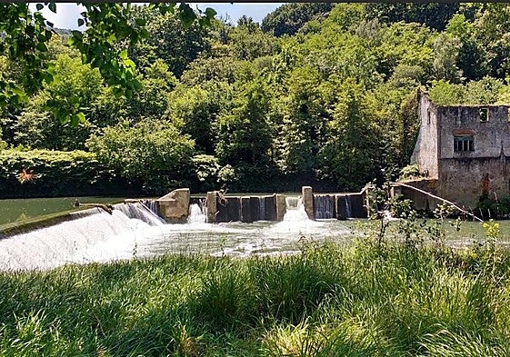 Ecologistas piden la demolición de la presa de Orbeldi para la regeneración piscícola del Oria en Usurbil