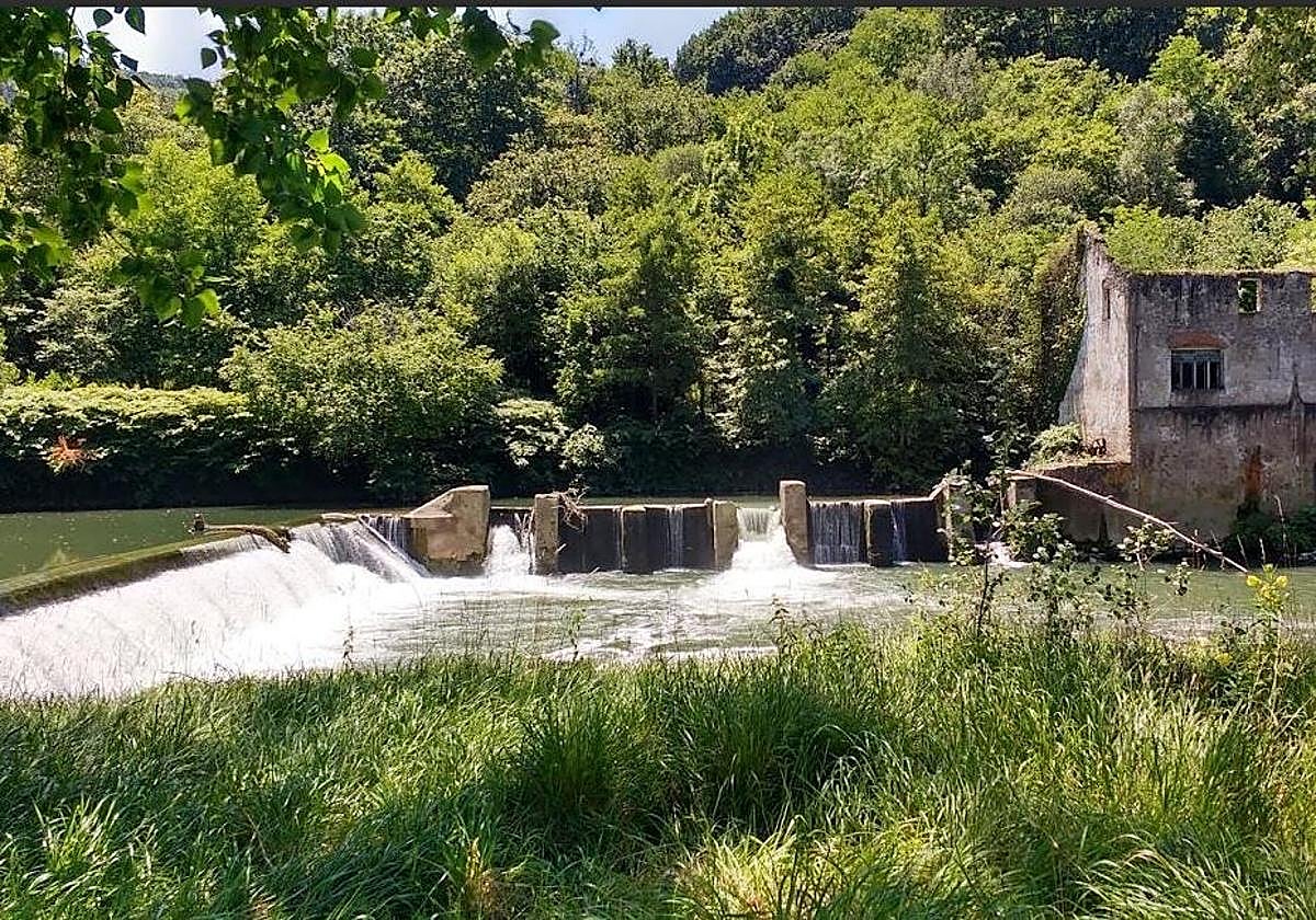 Ecologistas piden la demolición de la presa de Orbeldi para la regeneración piscícola del Oria en Usurbil