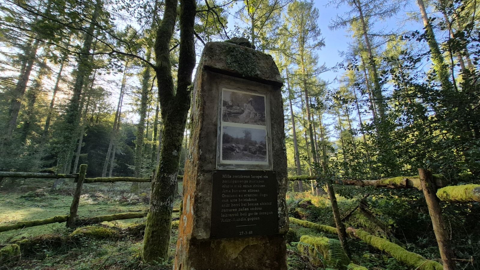 Una discreta cima navarra cobijada por el bosque