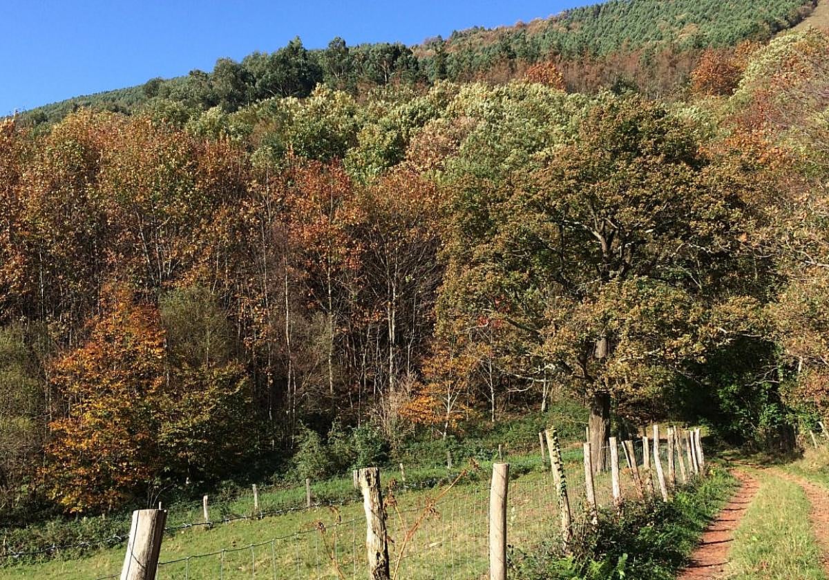 Una vía pública existente en el término municipal de Lezo.