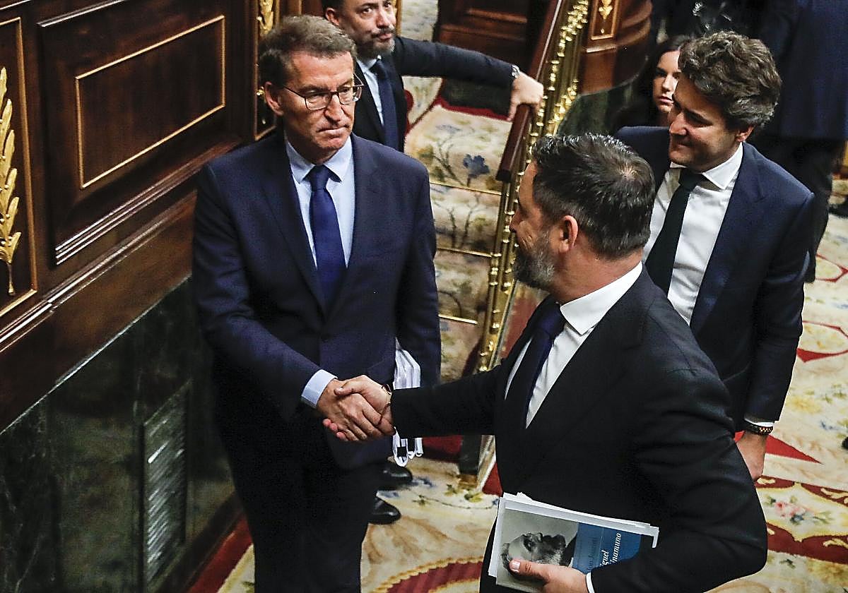 Alberto Núñez Feijóo y Santiago Abascal se saludan en el Congreso.