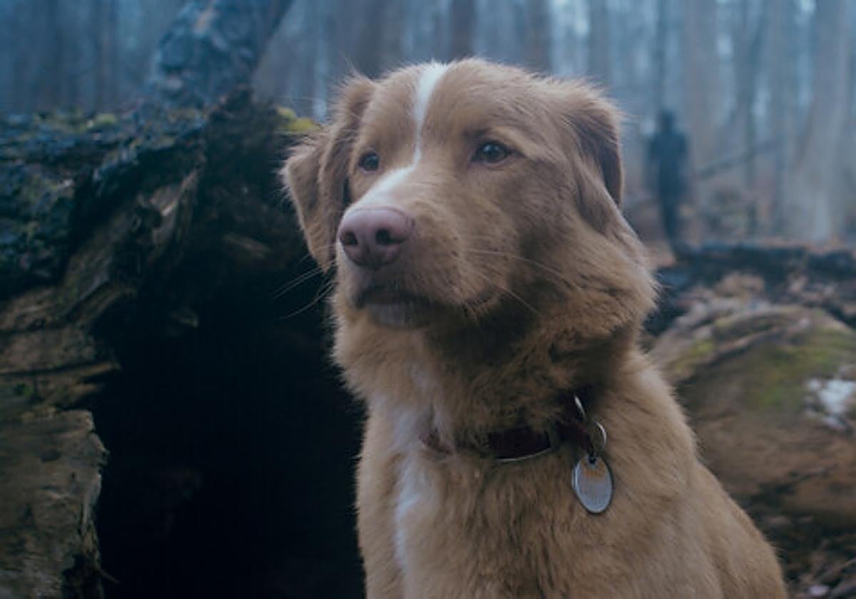 'Indy', el protagonista del filme.