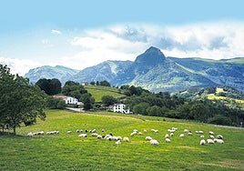 Una transición necesaria