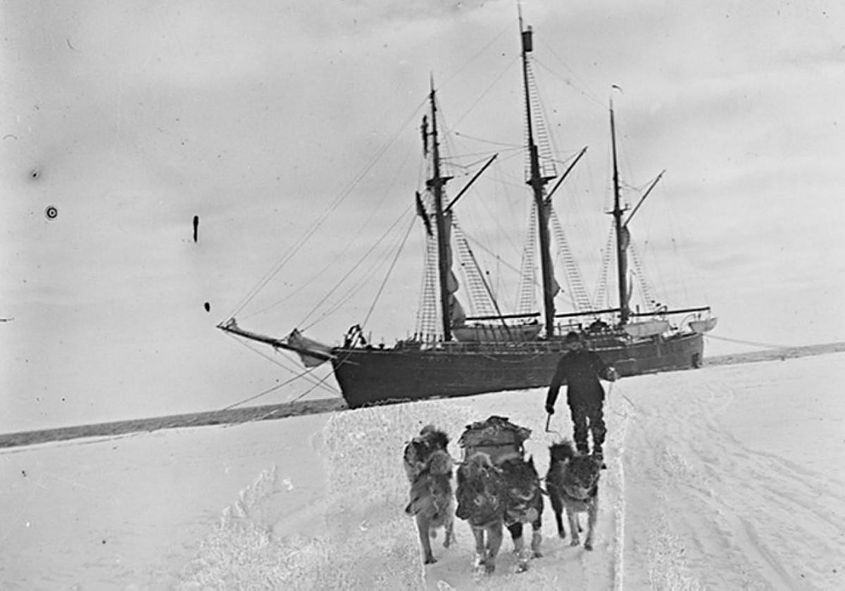 Los perros fueron los grandes acompañantes de los aventureros.