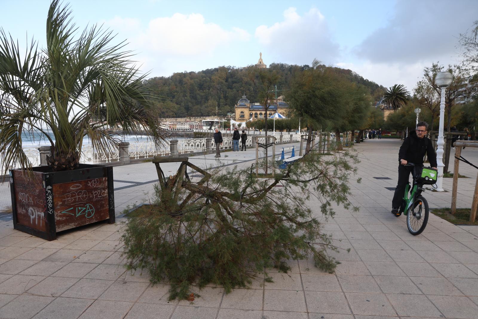 Los desperfectos que ha dejado &#039;Benjamín&#039; en Gipuzkoa