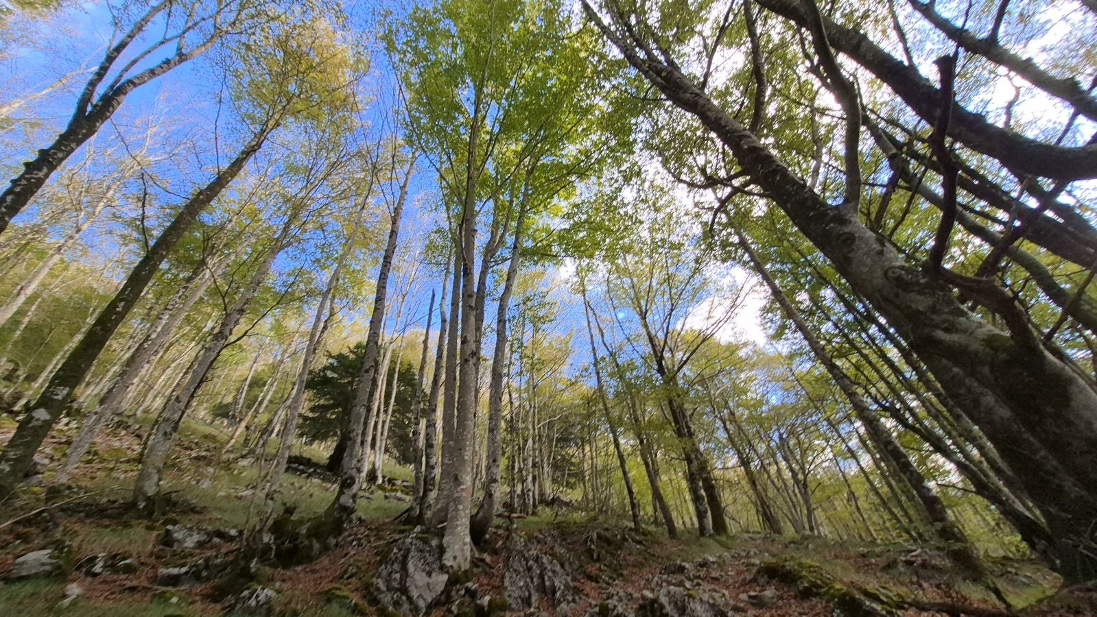 Agaotz, refugio de lamias y gentiles