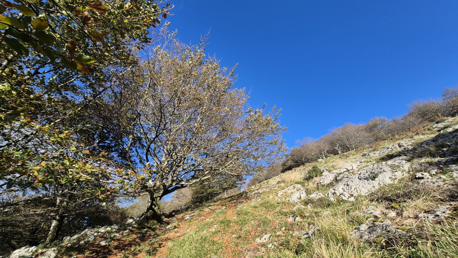 Agaotz, refugio de lamias y gentiles