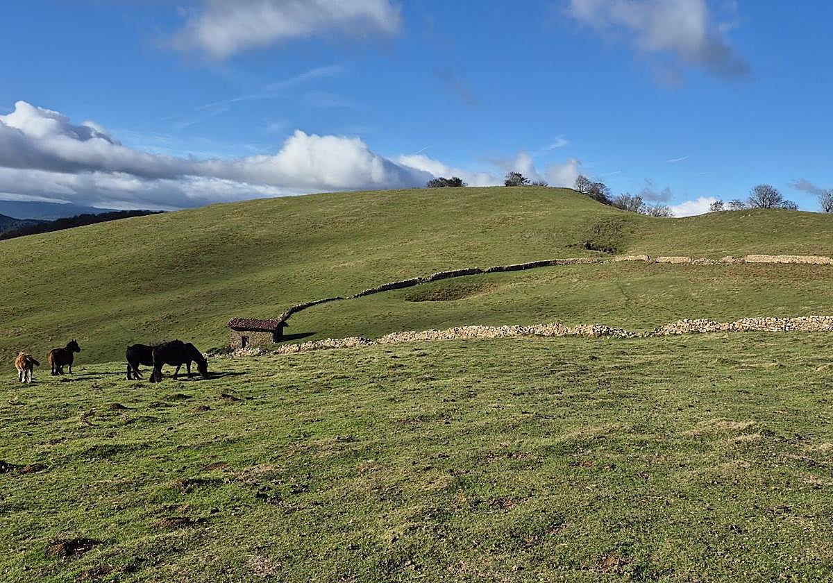 Agaotz, refugio de lamias y gentiles