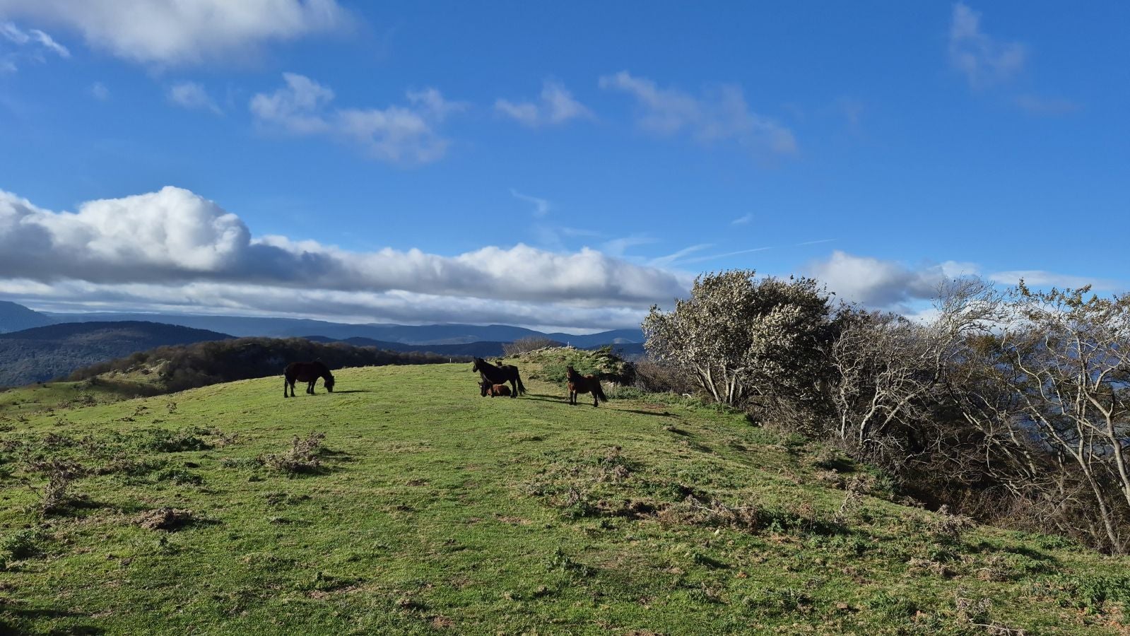 Agaotz, refugio de lamias y gentiles