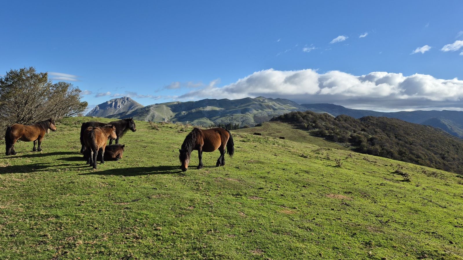 Agaotz, refugio de lamias y gentiles