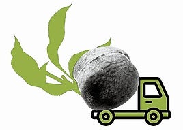 ¡Viva Calanda, viva la libertad!