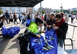 Reparto de plantas y flores el pasado invierno en la plaza Ramón Labayen