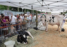 Imagen de la feria de ganado de este verano en Irun.