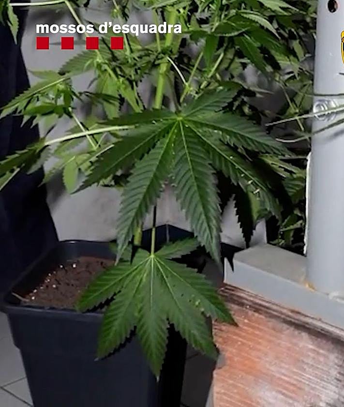 Imagen secundaria 2 - Un registro en Irun y otras localidades permite desarticular una red de explotación sexual