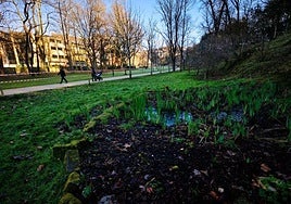 Ingresa en prisión tras violar a un joven en el parque de Cristina Enea de Donostia