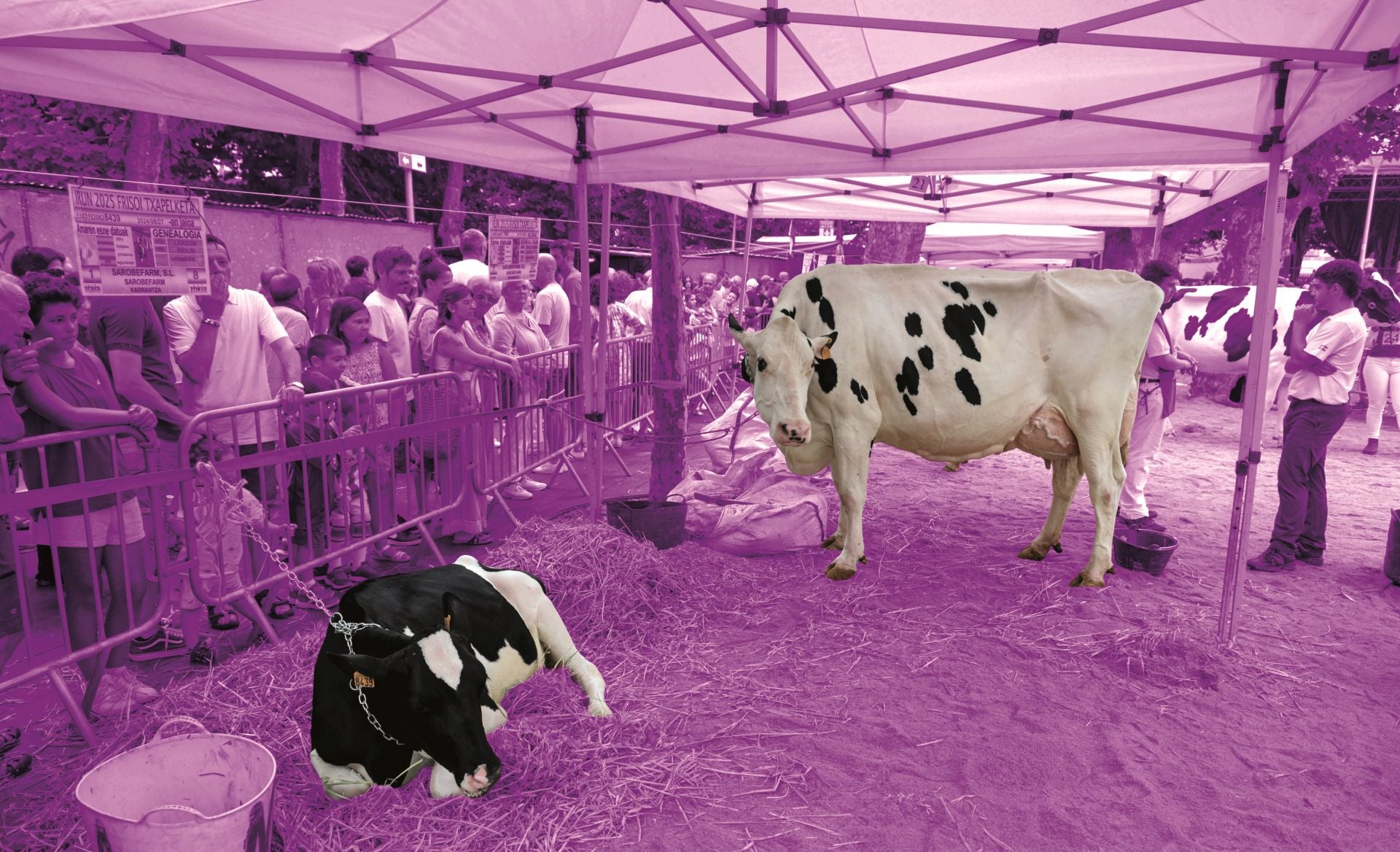 Arazoei aurrea hartu, arriskuak gutxiagotu