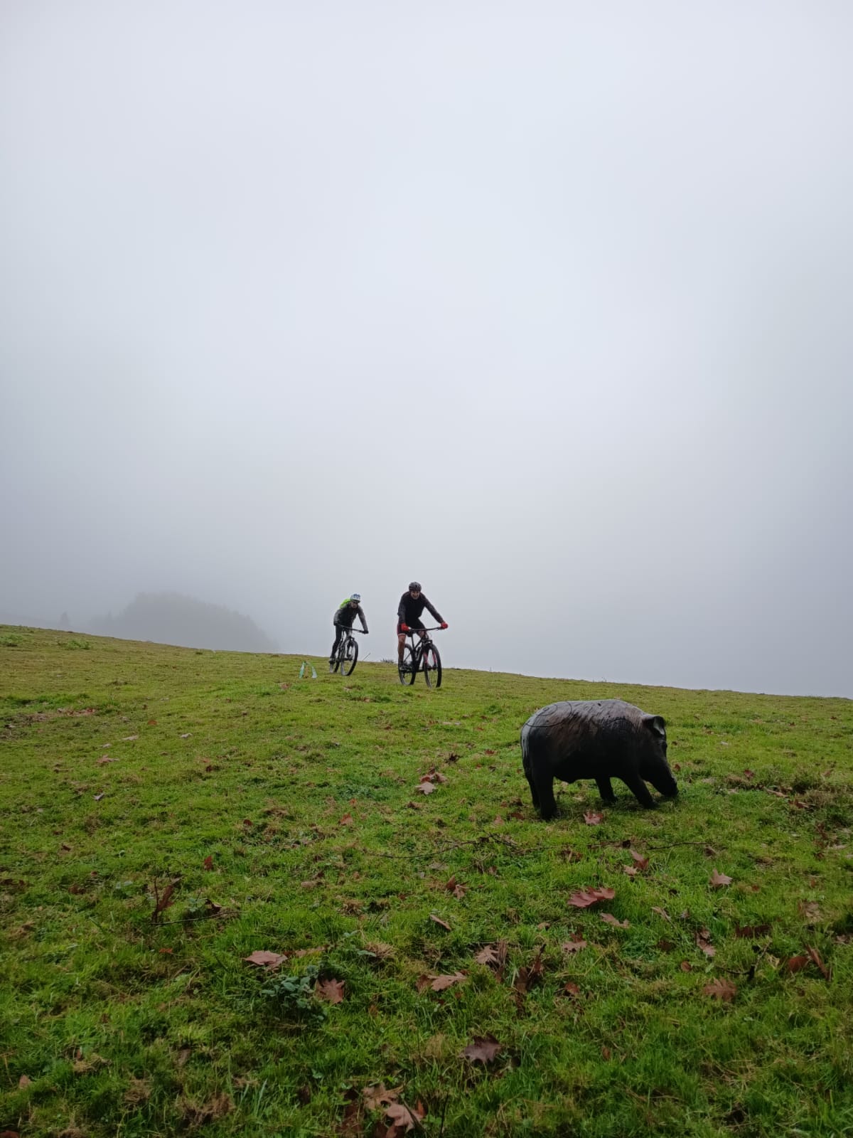 Izadi Zaleak ganó el desafío a Lekanazpi