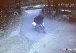 Pillan a un hombre abandonando cinco gatos en la Protectora de Gipuzkoa: «Estamos cansados de ver cómo se repite esta historia»